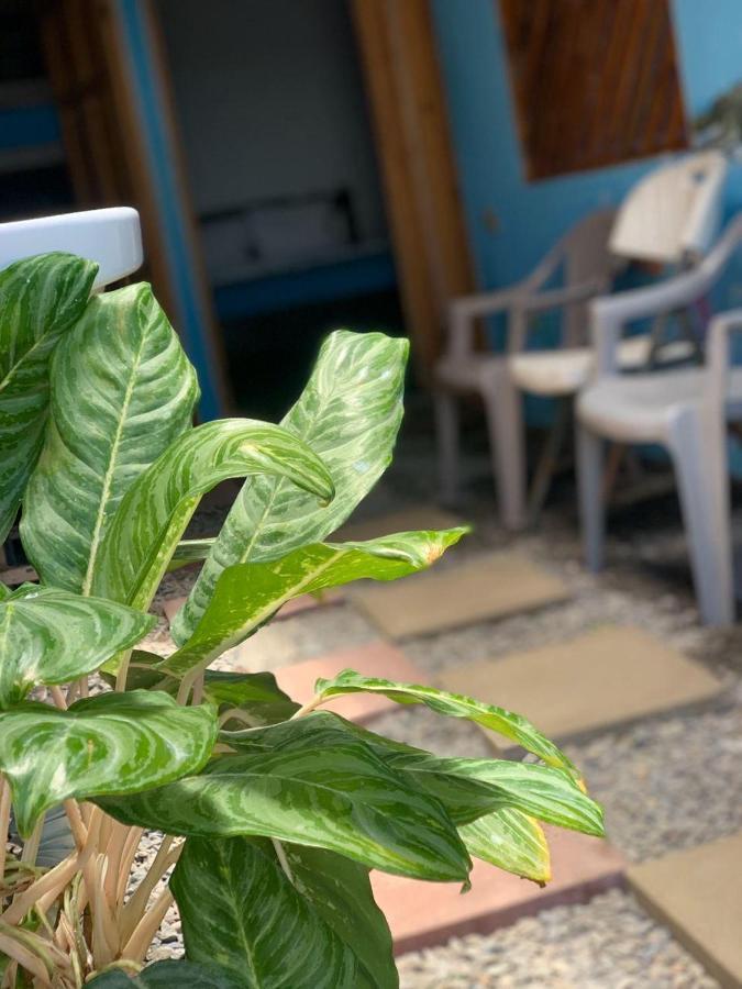 Hostel Tortuguero 7Backpackers Екстер'єр фото
