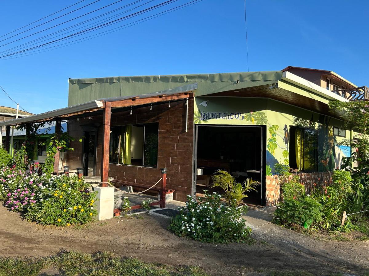 Hostel Tortuguero 7Backpackers Екстер'єр фото