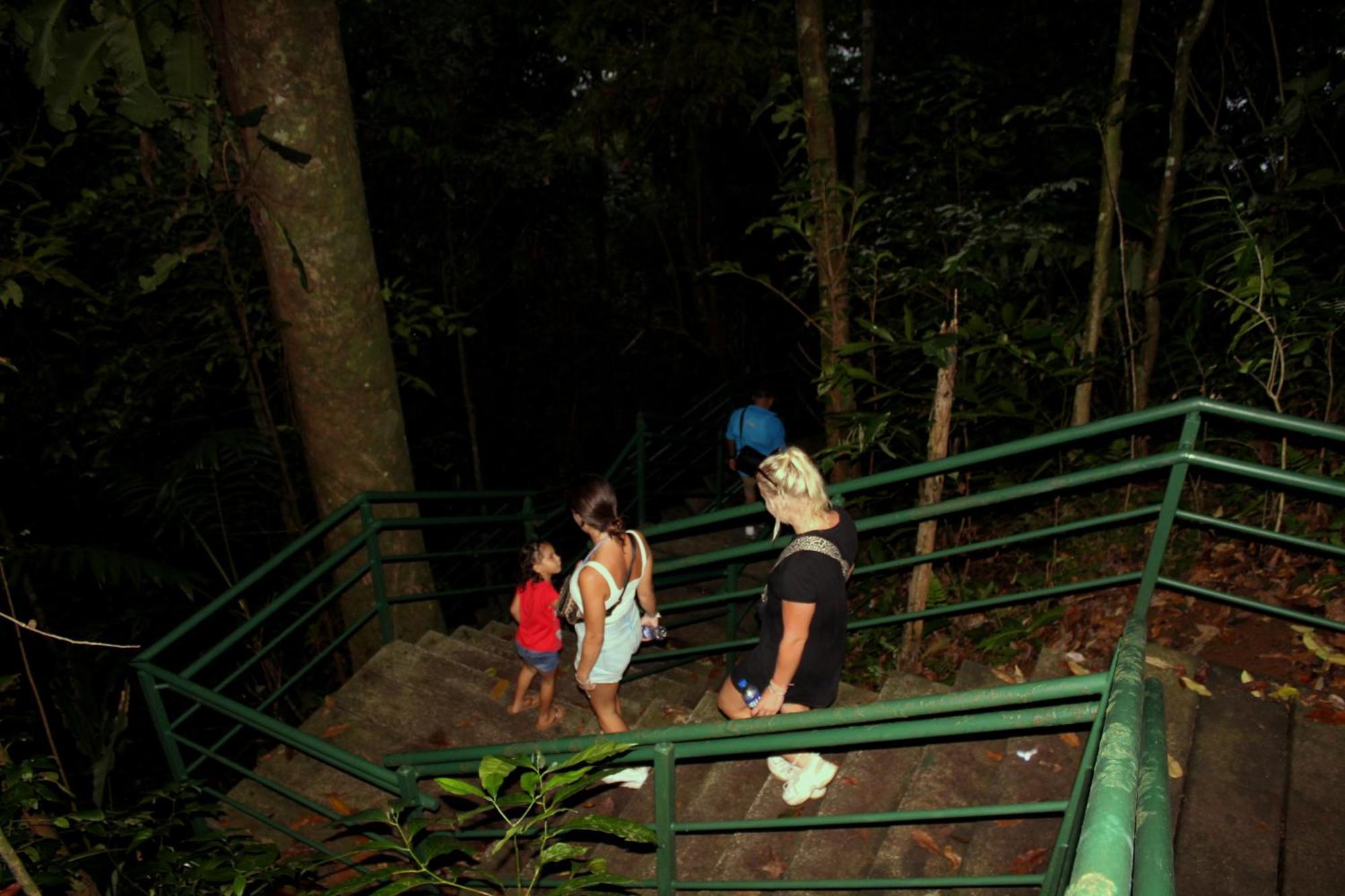 Hostel Tortuguero 7Backpackers Екстер'єр фото